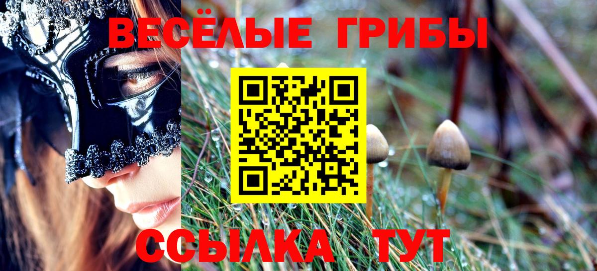 Галлюциногенные грибы Magic Shrooms Бугуруслан
