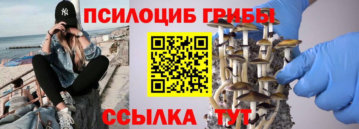где найти   Вход с VPN  Бугуруслан  Псилоцибиновые грибы ЛСД  Галлюциногенные грибы ЛСД 